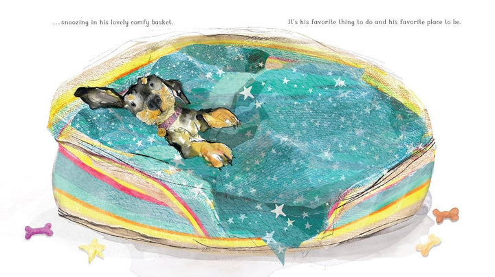Otto the Dog That Learns to Share – by Catherine Rayner