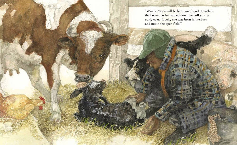 A Home in the Barn by Margaret Wise Brown, illustrated by Jerry Pinkney