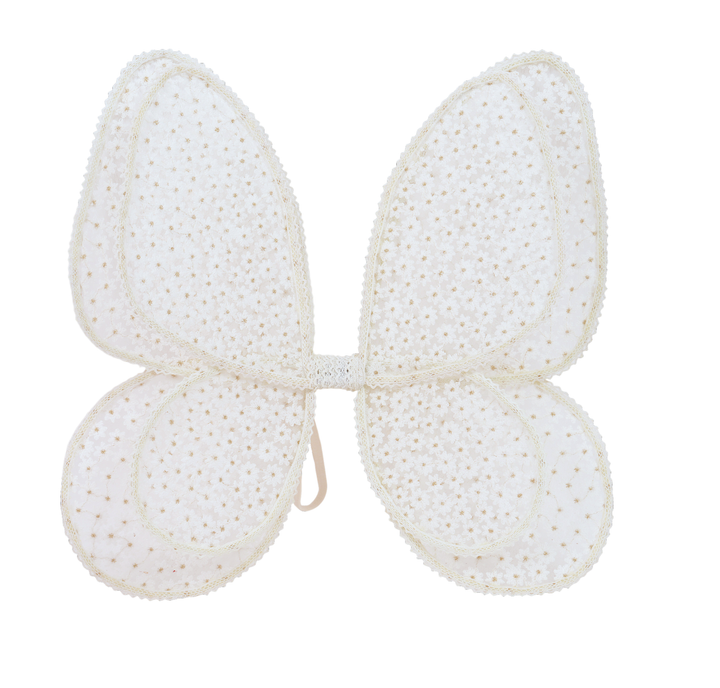 Fairy Wings &amp; Magic Wands