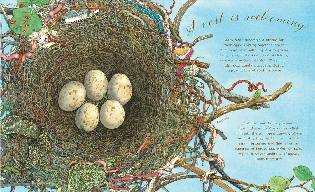 A Nest Is Noisy