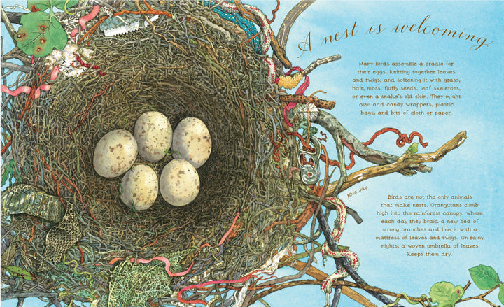 A Nest Is Noisy