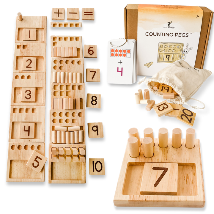 Counting Pegs Math Toy Set