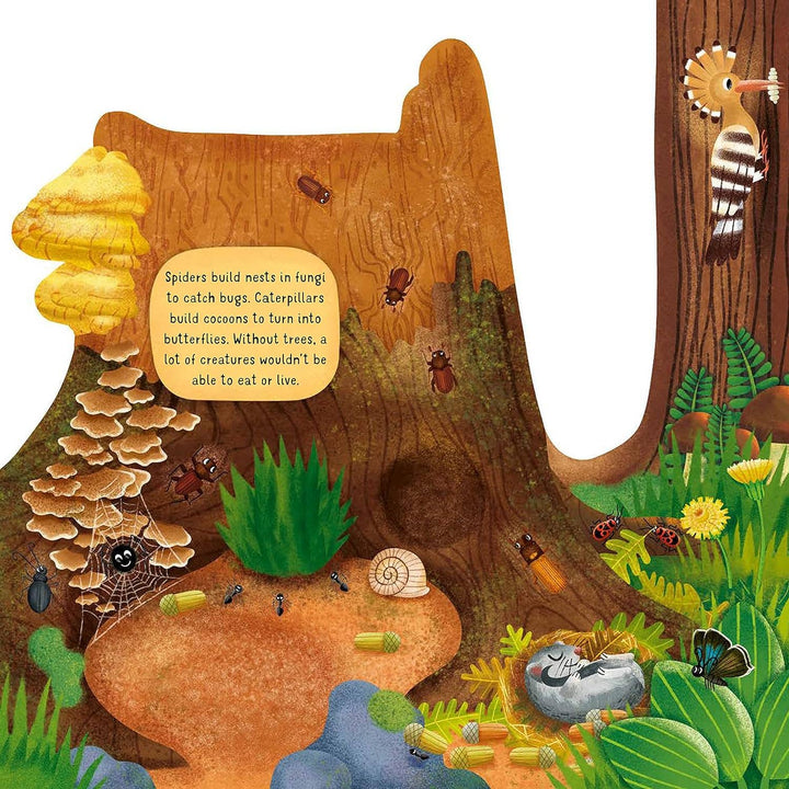 Discovering the Hidden Woodland World - Kid&