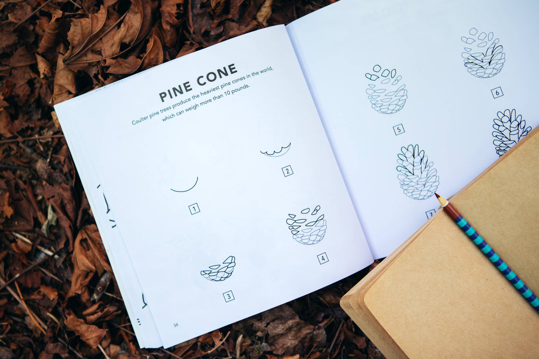 How to Draw Fall Things