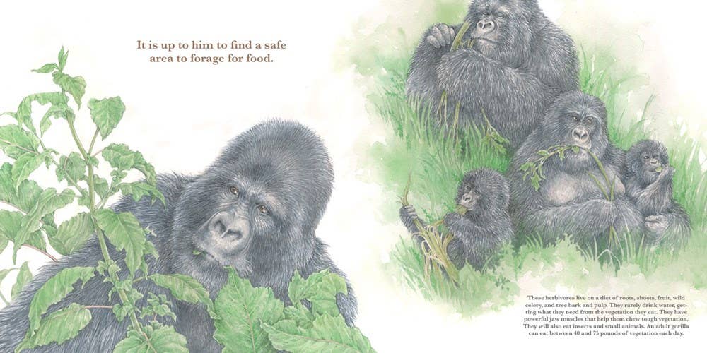 He Leads: Mountain Gorilla, The Gentle Giant