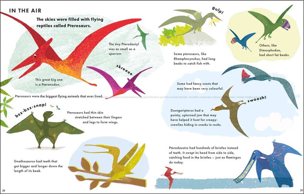 Big Book of Dinosaurs (Little Explorers Big Facts Books)