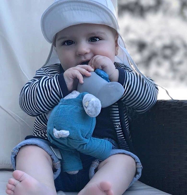 Alvin the Elephant