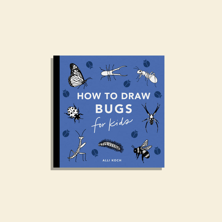 How to Draw Bugs for Kids