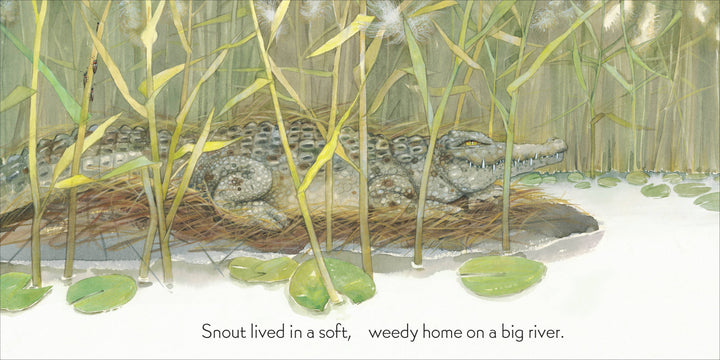 The Good Ship Crocodile – by J. Patrick Lewis, illustrated by Monique Felix