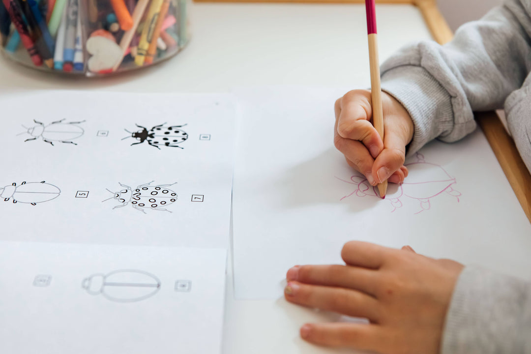 How to Draw Bugs for Kids