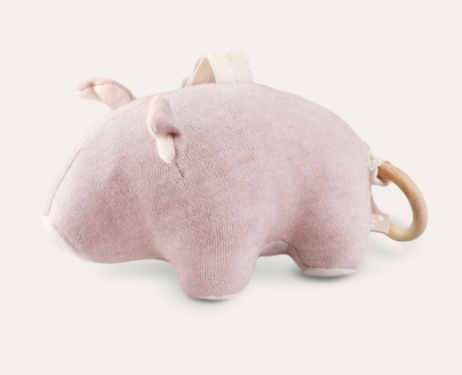 Peggy the Musical Pig