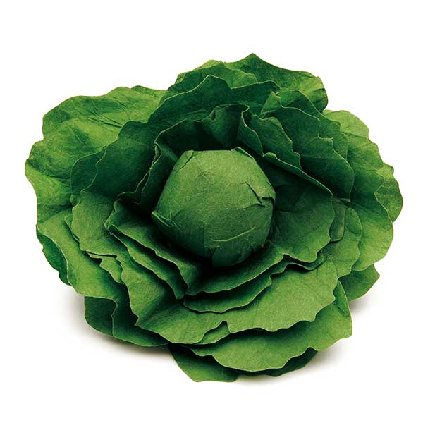 Lettuce Pretend Food