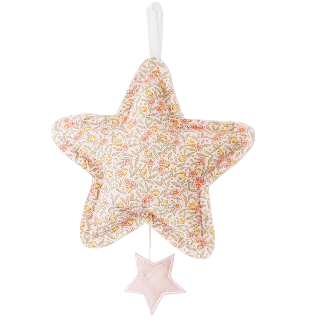 Star Musical &