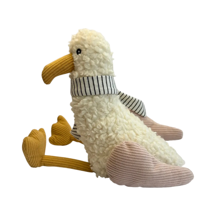 Nancy Seagull