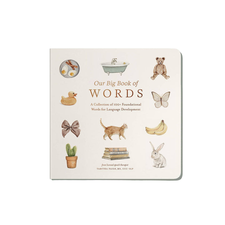 Our Big Book of First Words (Baby Board Book)