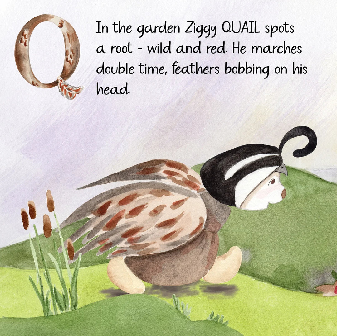 Z is for Ziggy book by Bukowksi Bears