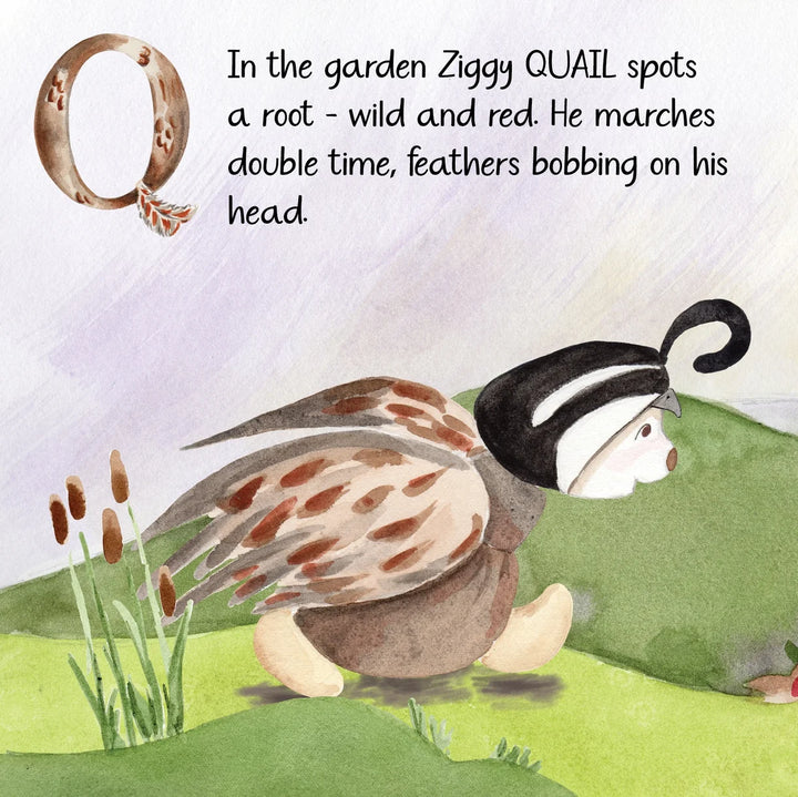 Z is for Ziggy book by Bukowksi Bears