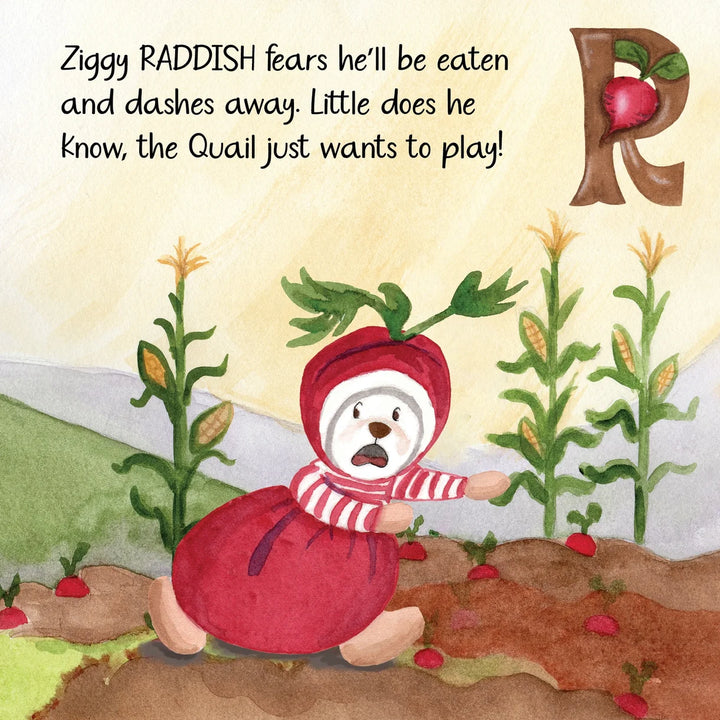 Z is for Ziggy book by Bukowksi Bears