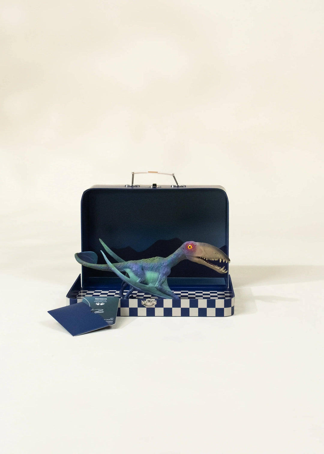 Pterosauria Dinosaur in a Collectible Box