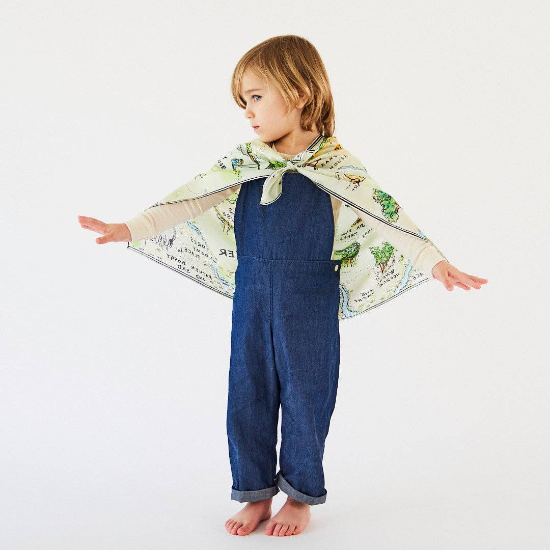 100 Acre Woods Playsilk