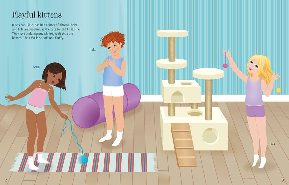 Sticker Dolly Dressing Pets by Usborne