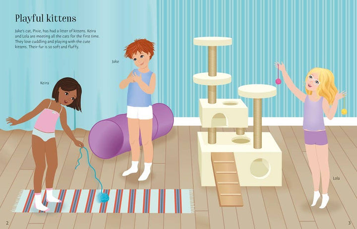 Sticker Dolly Dressing Pets by Usborne