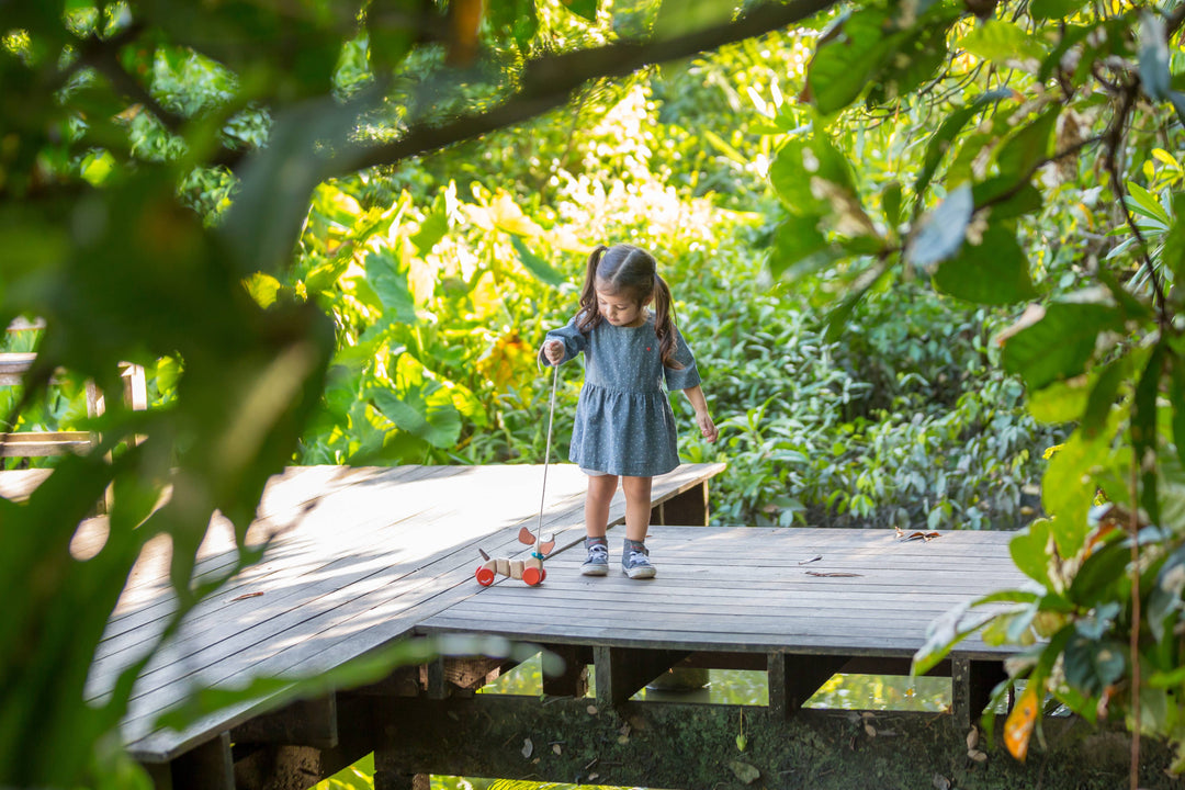 Happy Puppy Pull Pal