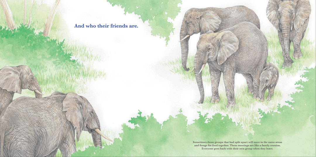 She Leads: The Elephant Matriarch