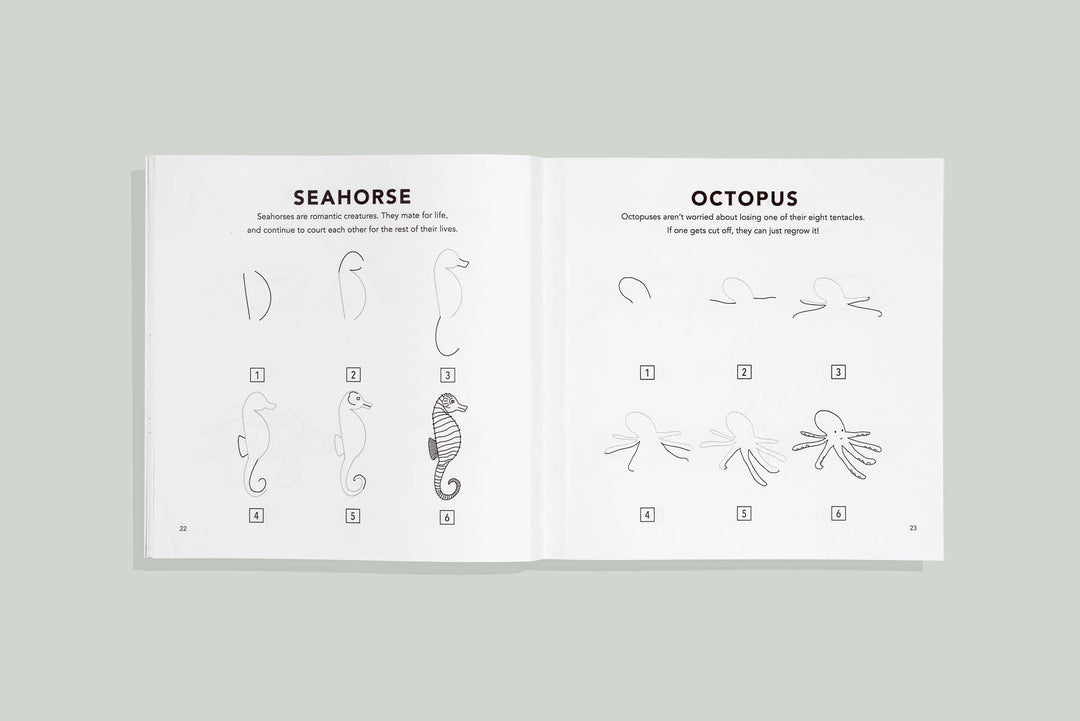 How to Draw Under the Sea