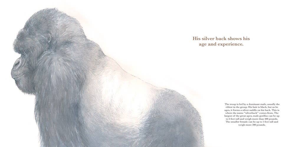 He Leads: Mountain Gorilla, The Gentle Giant