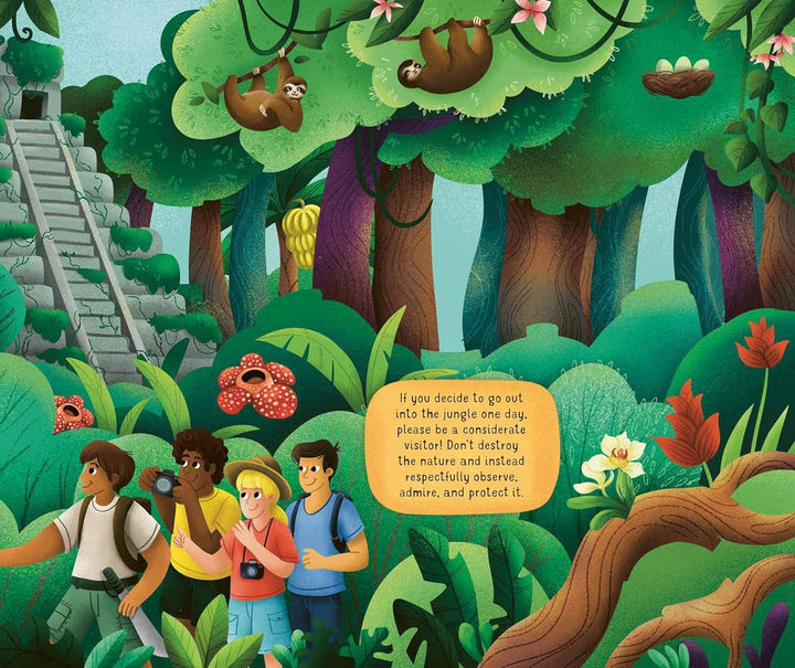 Exploring the Adventurous World of the Jungle