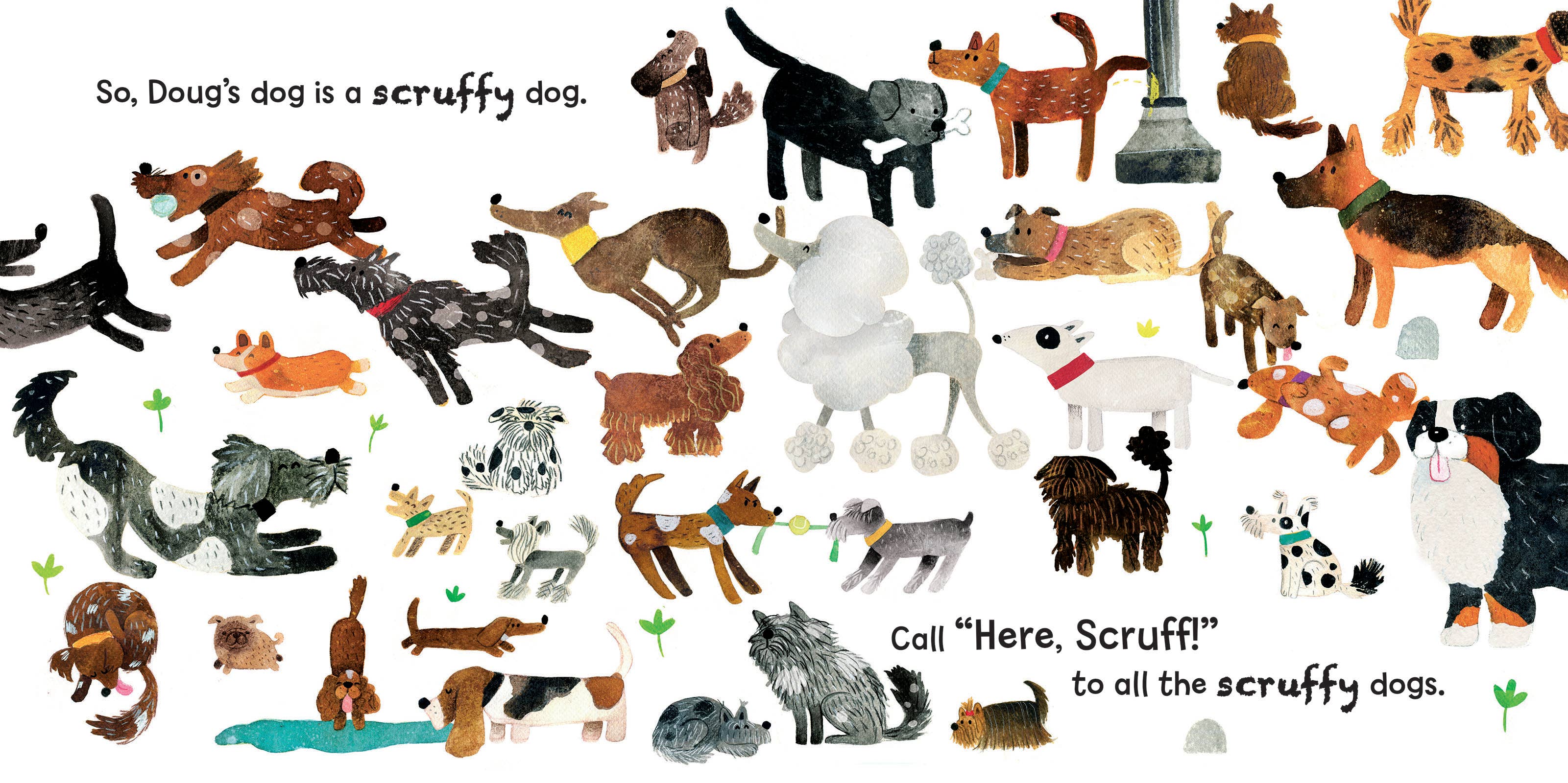Can You Find Doug's Dog?