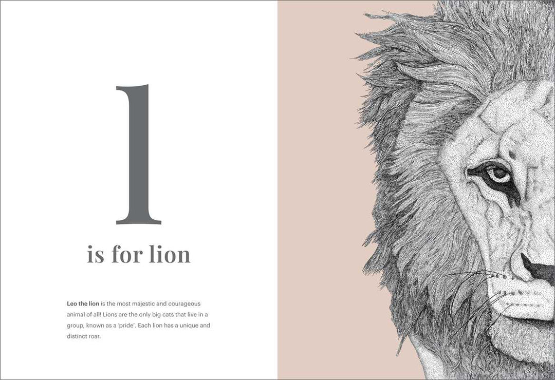 Animal Alphabet by