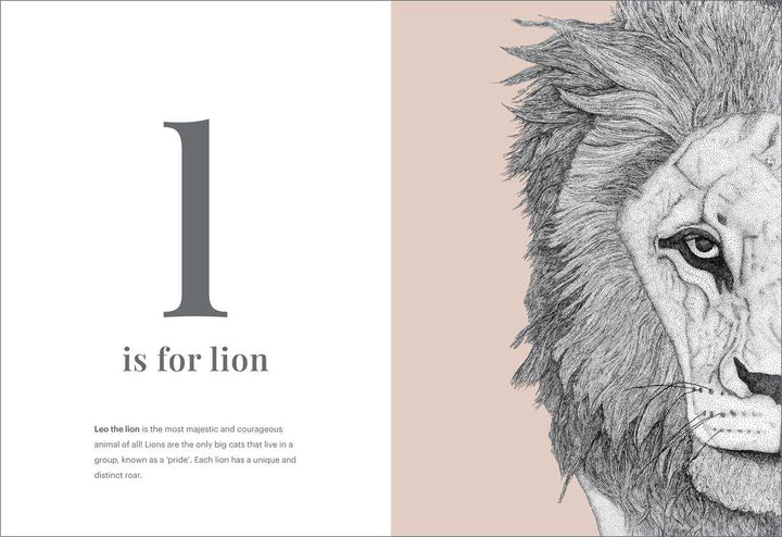 Animal Alphabet by