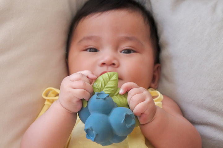 Jerry the Blueberry - Natural Rubber Baby Teether & Bath Toy