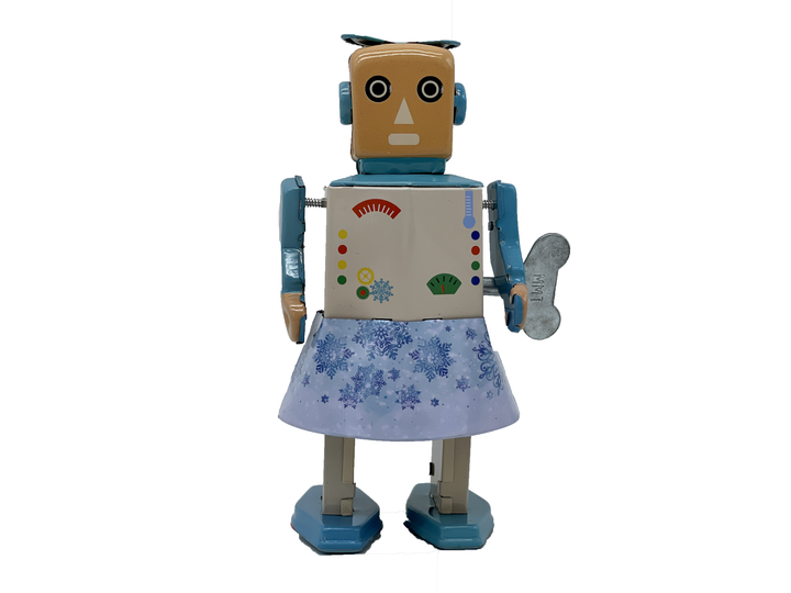 SnowBot