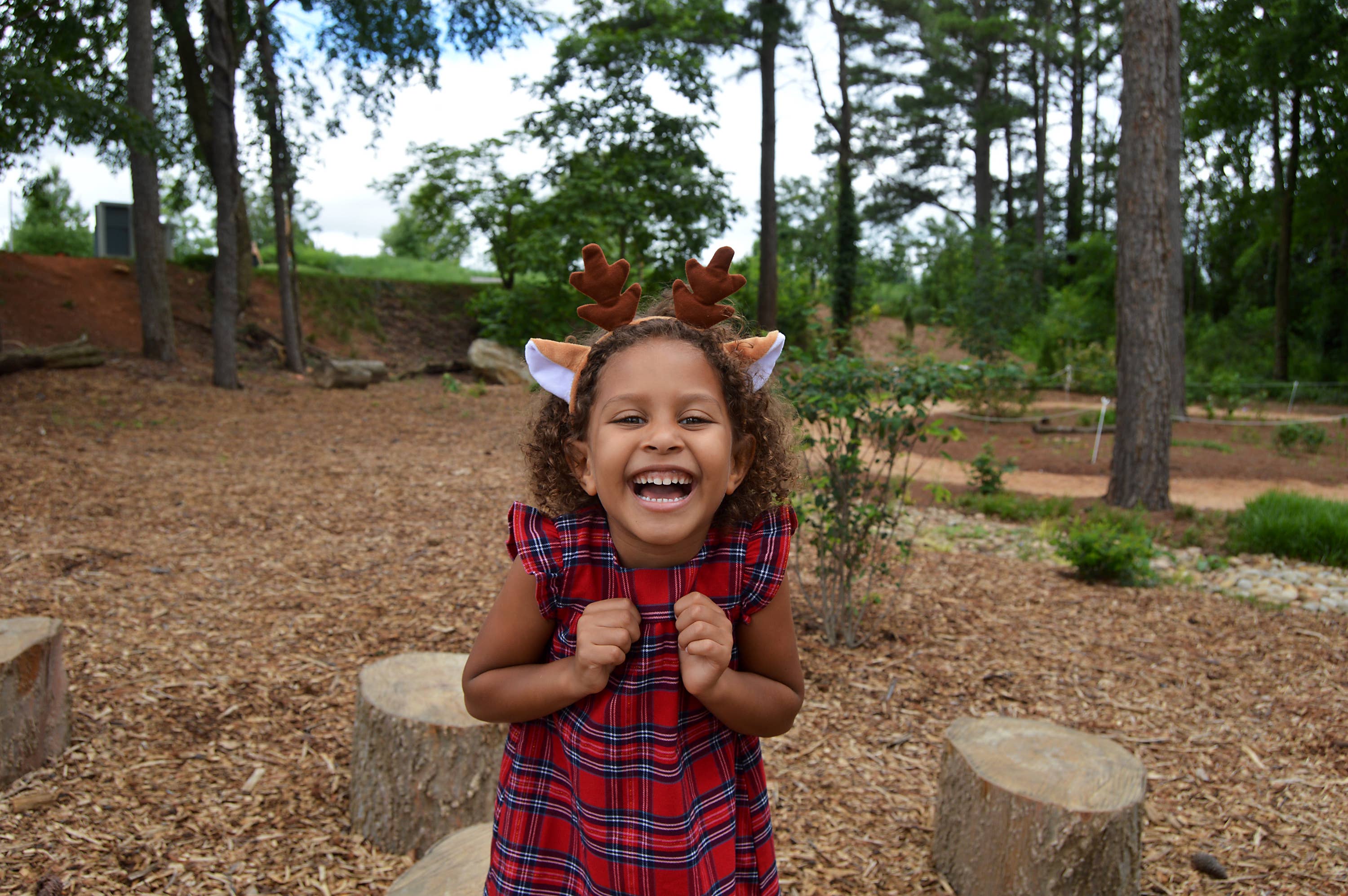 Christmas Reindeer Ears