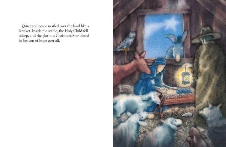 Christmas Star  by: Marcus Pfister