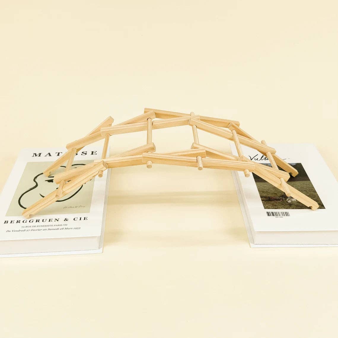 Da Vinci's Bridge DIY Kit - STEM Toy for Kids