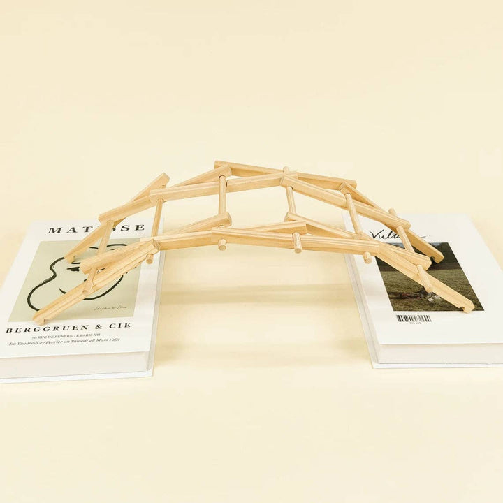 Da Vinci's Bridge DIY Kit - STEM Toy for Kids