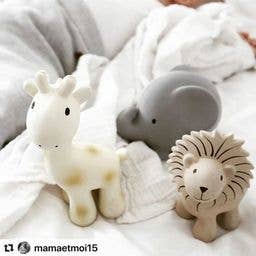 Lion Natural Organic Rubber Rattle, Teether &amp; Bath Toy