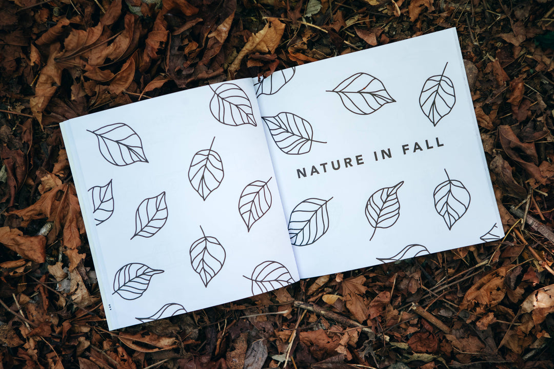 How to Draw Fall Things