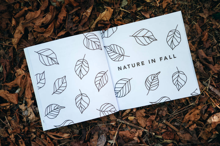 How to Draw Fall Things