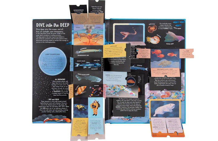 Ultimate Lift the Flap Encyclopedia of Oceans