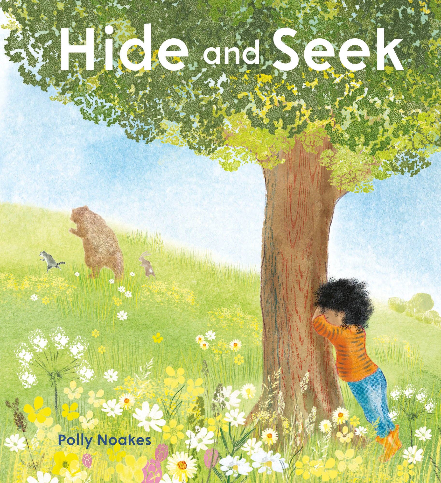 Hide and Seek (Hardcover)