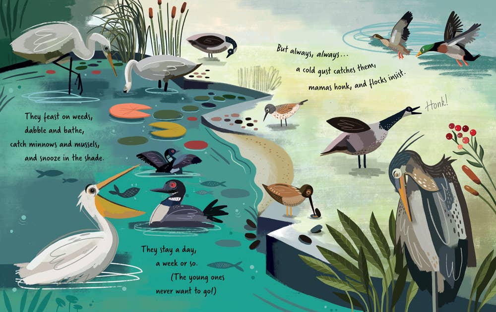 Follow the Flyway