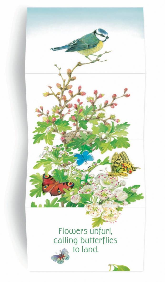 In the Garden – Lift-the-Flap Board Book