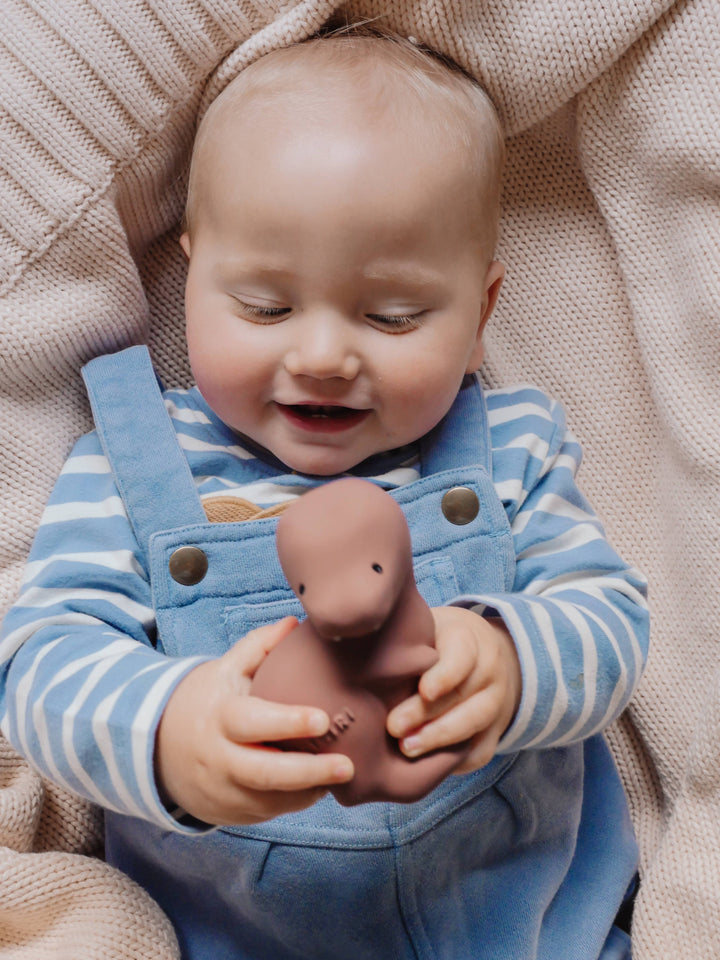 T-Rex Natural Rubber Teether, Rattle &amp; Bath Toy