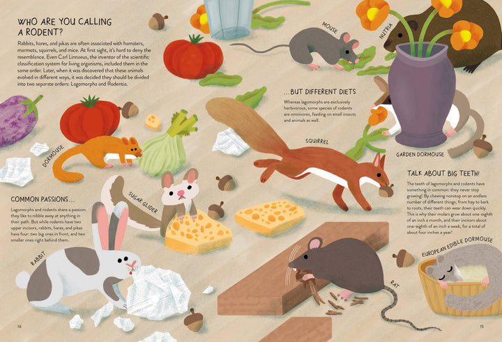 Rabbitology – by Ilaria Demonti