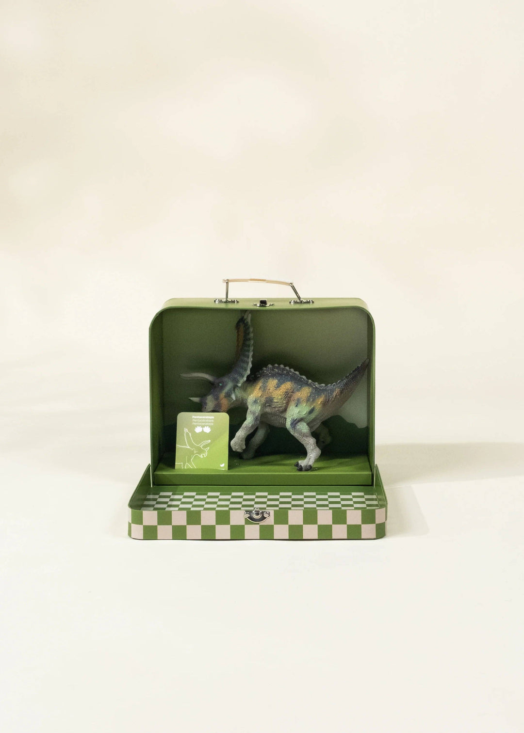 Pentaceratops Dinosaur in a Collectible Box